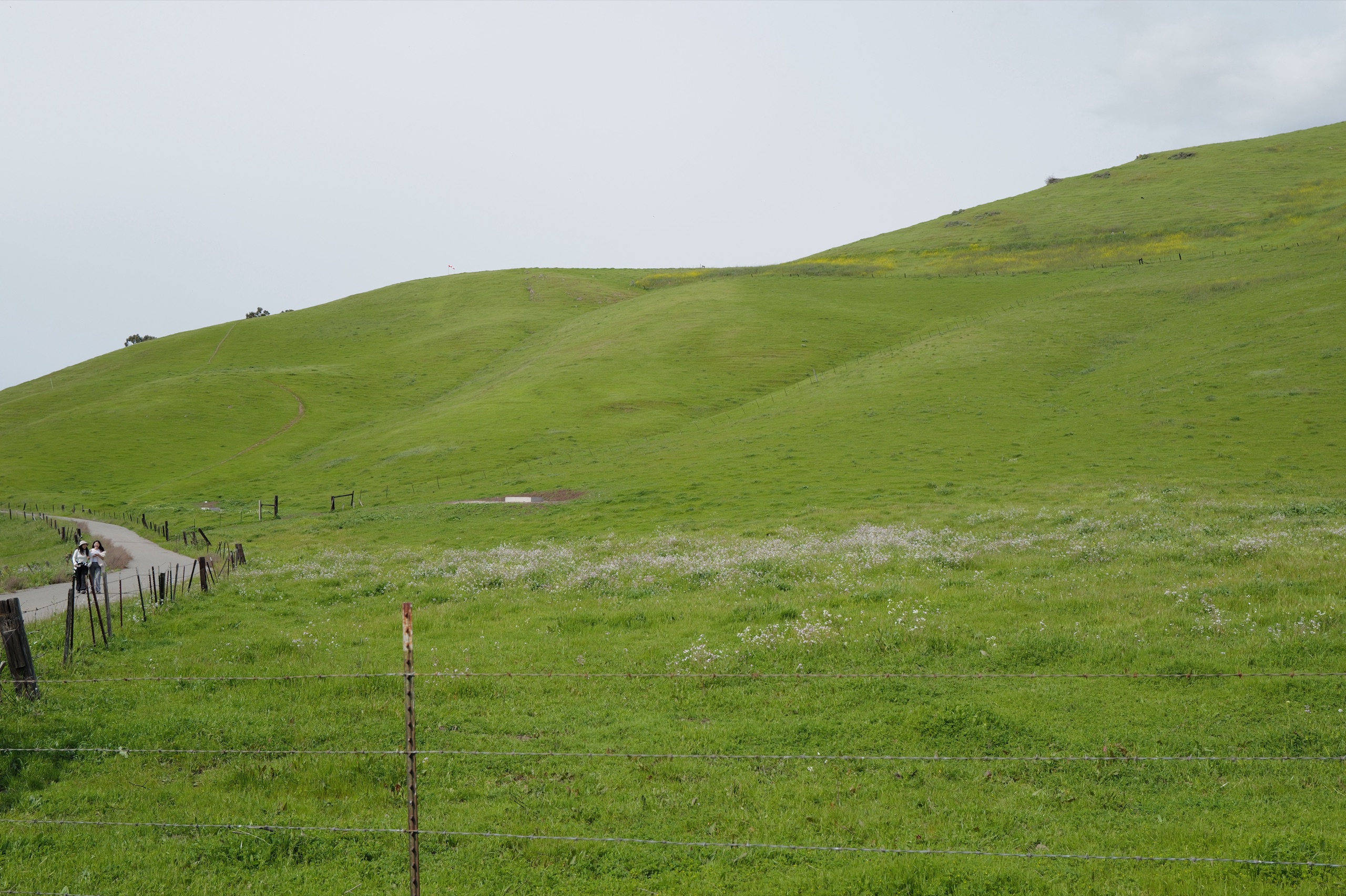 Steep green hillside with a path running diagonally up, a wire fence in the foreground